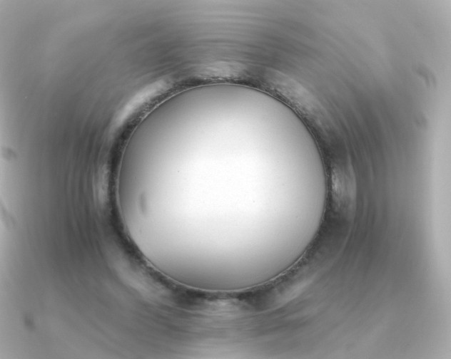 X0000091340396200708101447