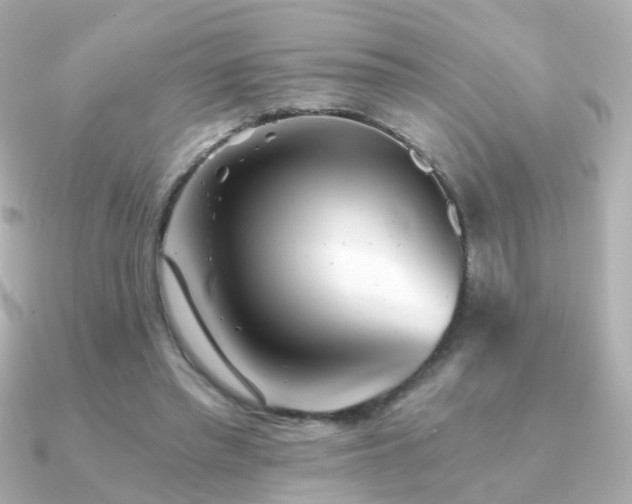X0000091340397200708101447