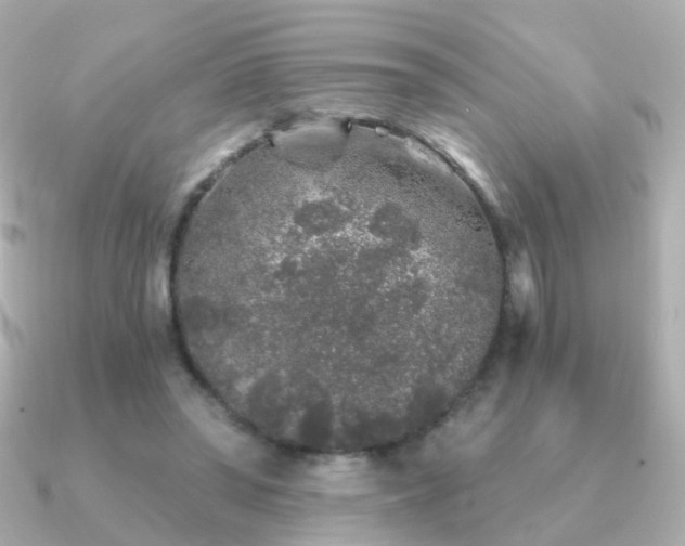 X0000091340398200708101447
