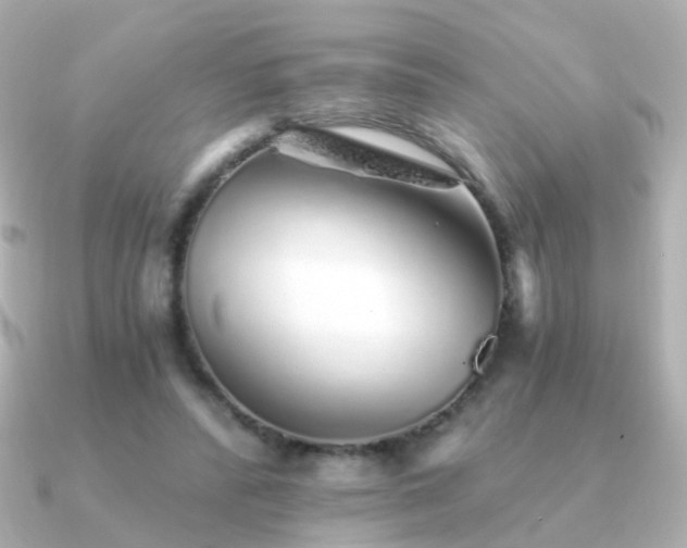 X0000091340400200708101447