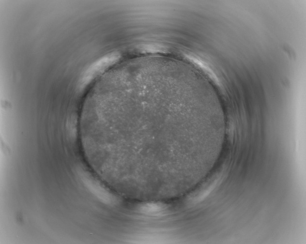 X0000091340402200708101447