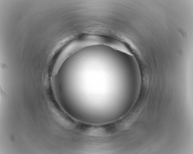 X0000091340403200708101447