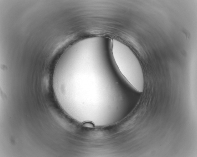 X0000091340404200708101447