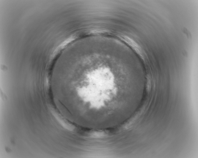 X0000091340405200708101447