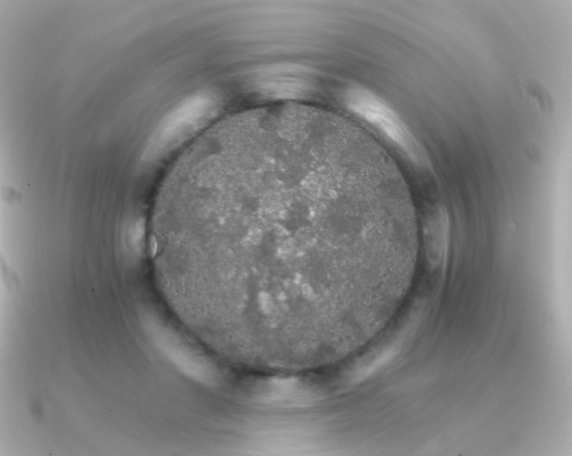 X0000091340406200708101447