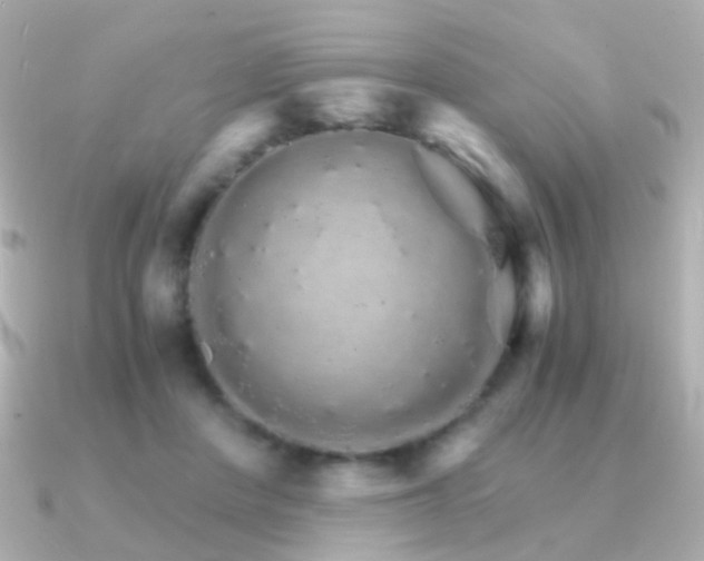 X0000091340408200708101447