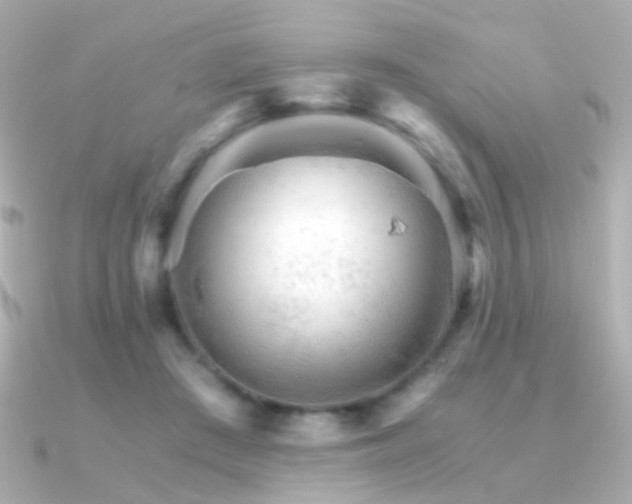 X0000091340409200708101447