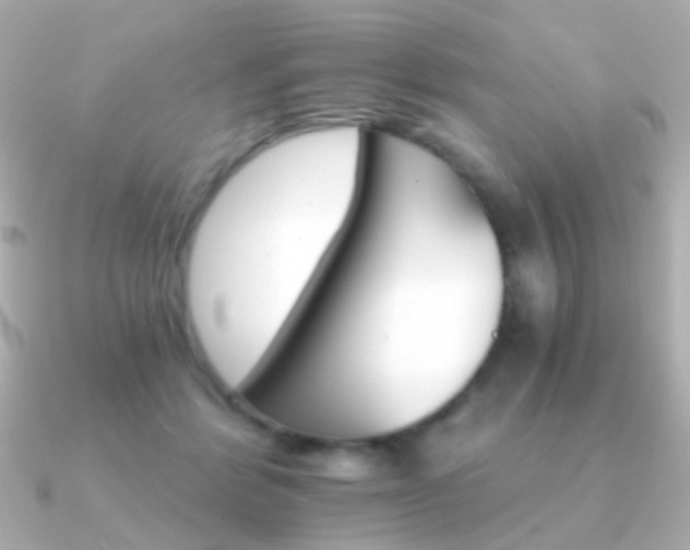X0000091340412200708101447