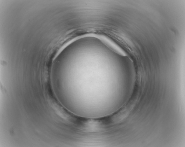 X0000091340413200708101447