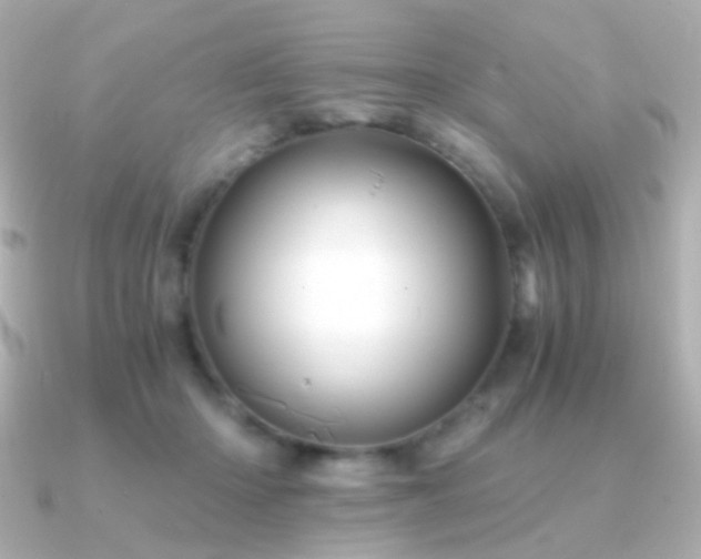 X0000091340414200708101447