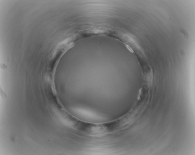 X0000091340415200708101447