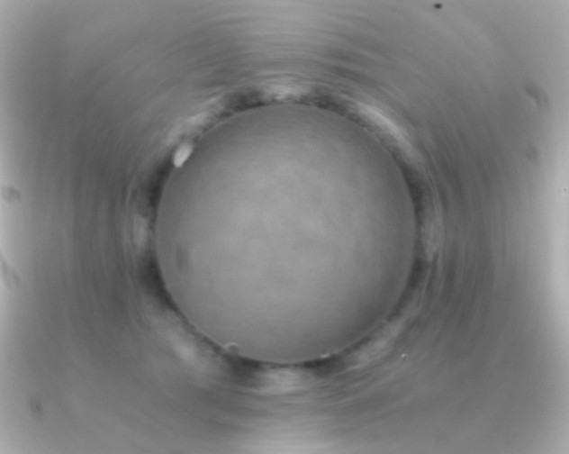 X0000091340417200708101447