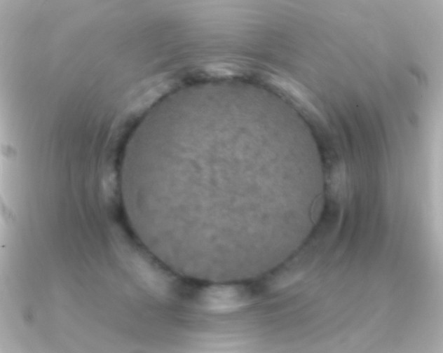 X0000091340418200708101447