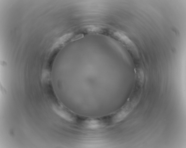 X0000091340419200708101447