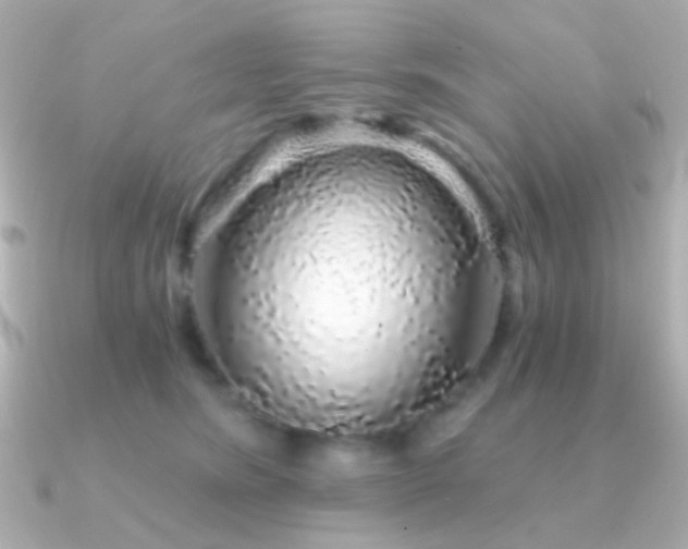 X0000091340420200708101447