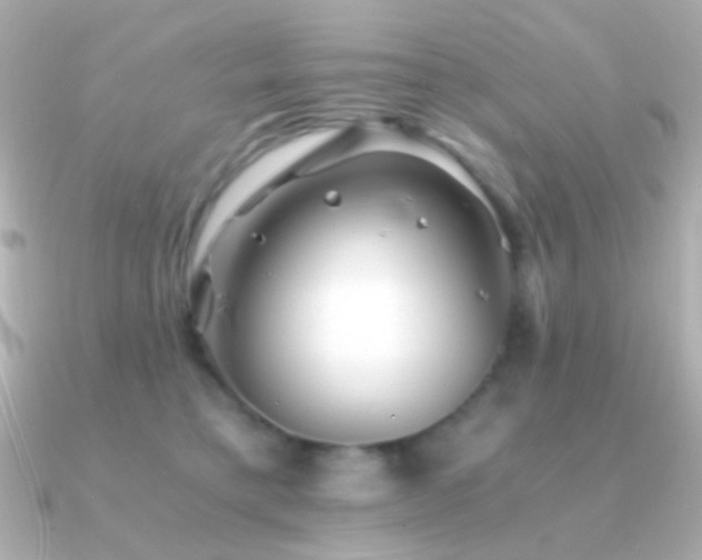 X0000091340421200708101447
