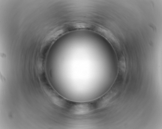 X0000091340422200708101447