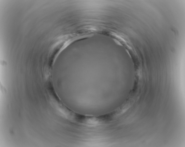 X0000091340423200708101447