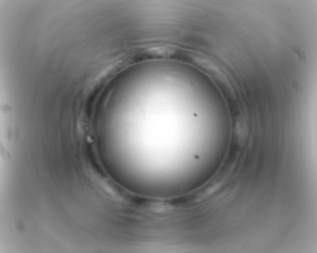 X0000091340424200708101447