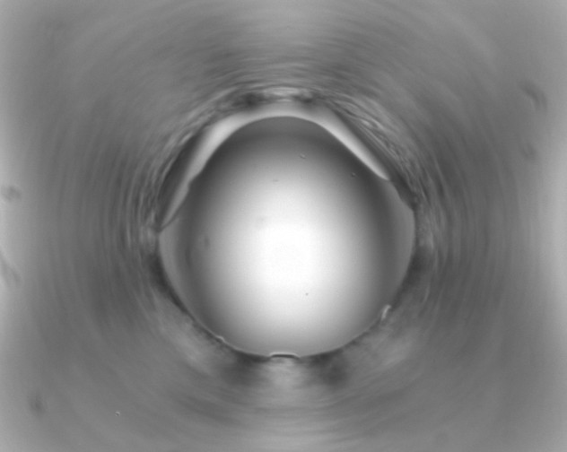 X0000091340425200708101447