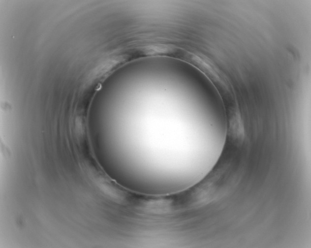 X0000091340426200708101447