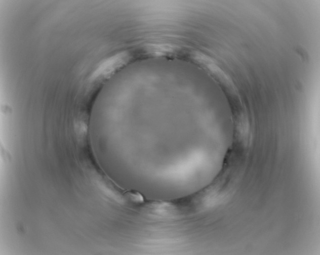 X0000091340427200708101447