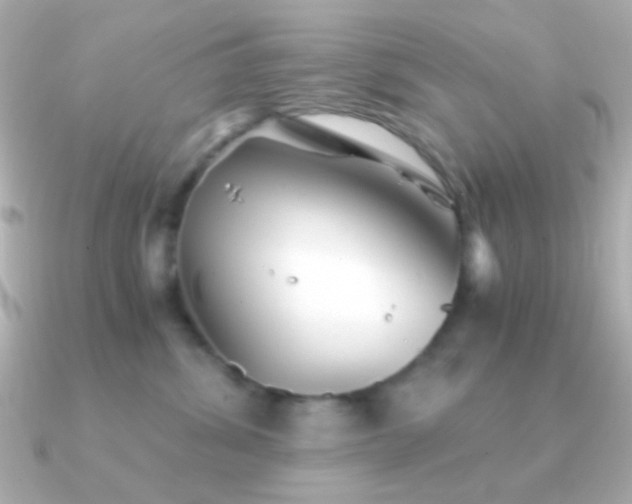 X0000091340428200708101447