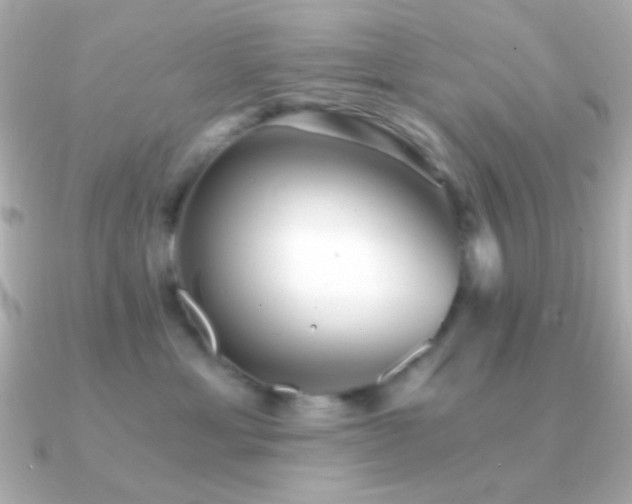 X0000091340429200708101447