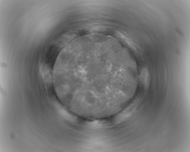 X0000091340430200708101447