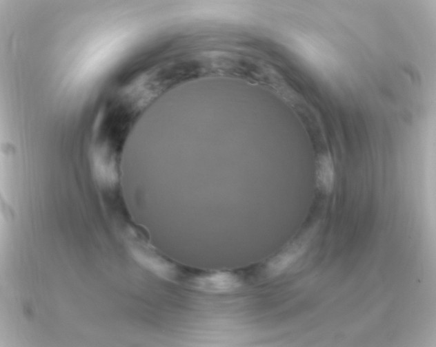 X0000091340431200708101447