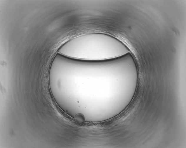 X0000091340433200708101446
