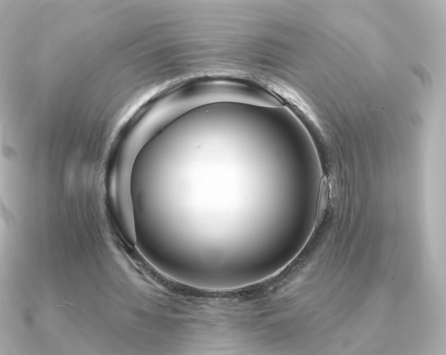 X0000091340436200708101446