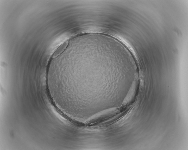 X0000091340437200708101446