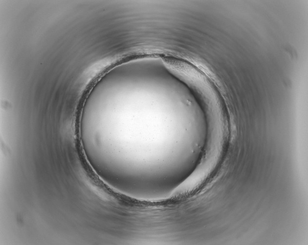 X0000091340438200708101446