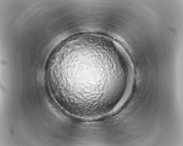 X0000091340439200708101446
