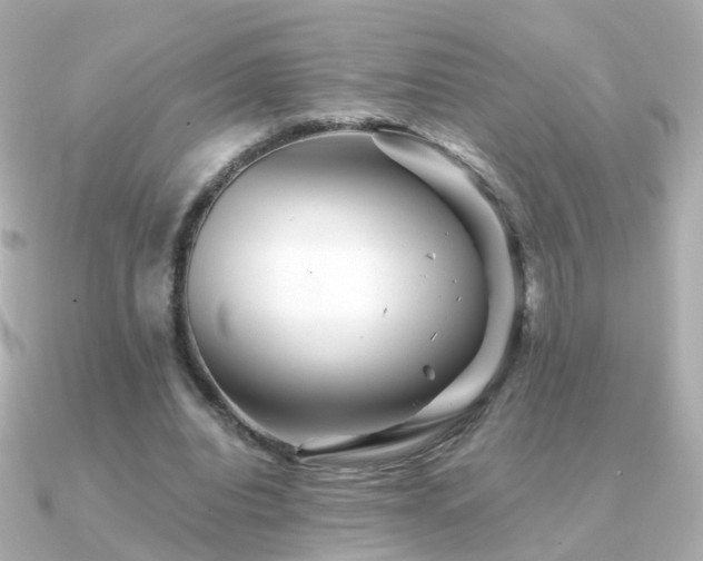X0000091340440200708101446