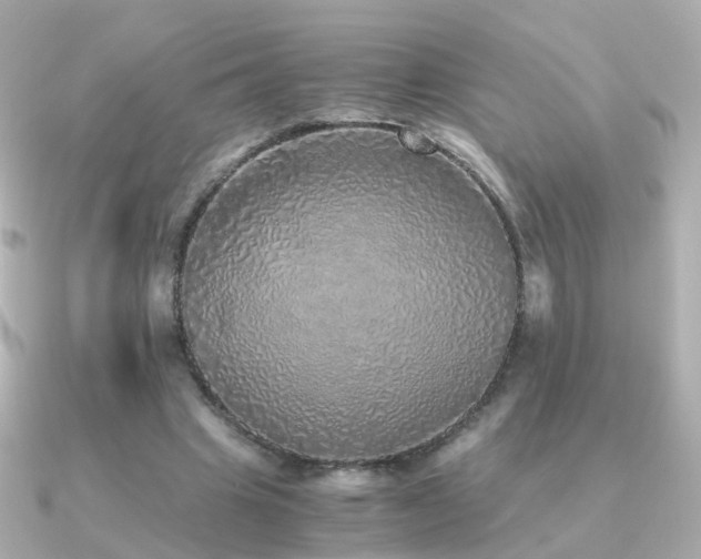 X0000091340441200708101446