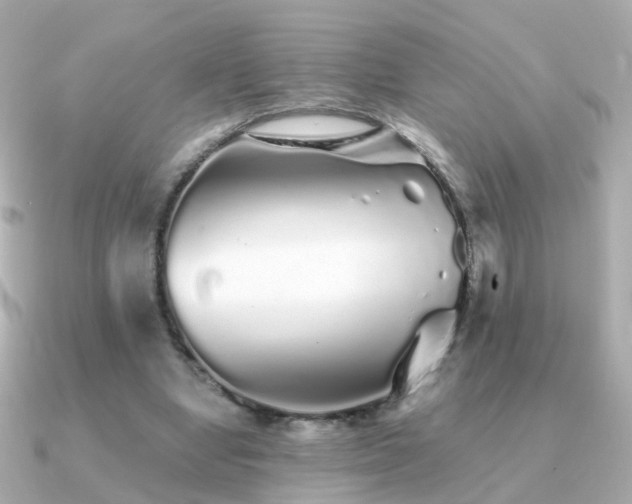 X0000091340442200708101446