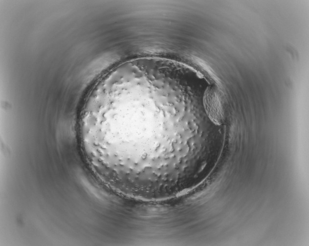 X0000091340443200708101446
