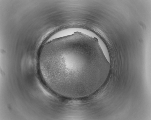 X0000091340444200708101446
