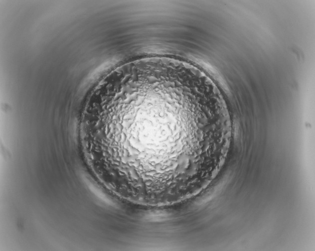 X0000091340445200708101446