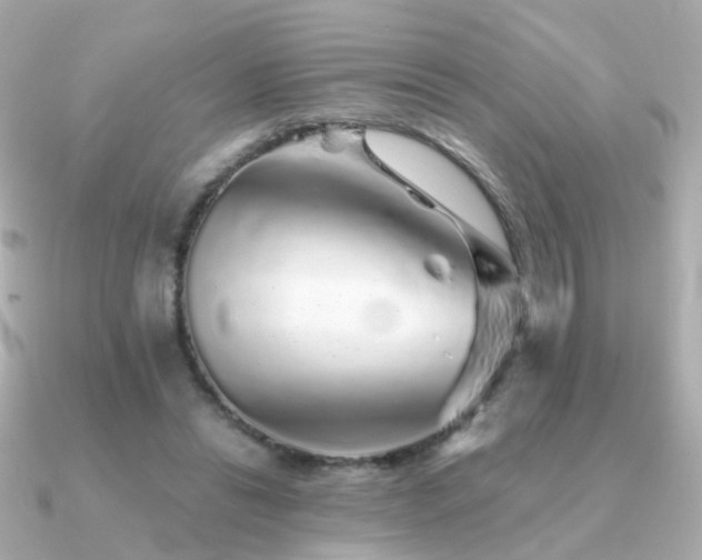 X0000091340446200708101446