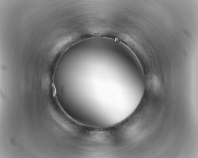 X0000091340448200708101446