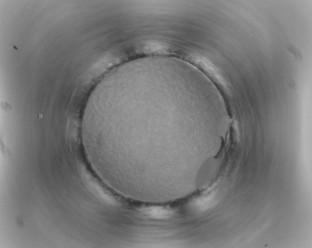 X0000091340449200708101446
