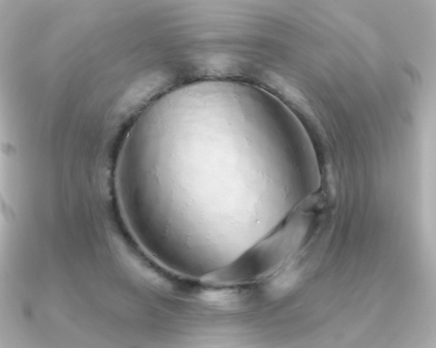 X0000091340450200708101446