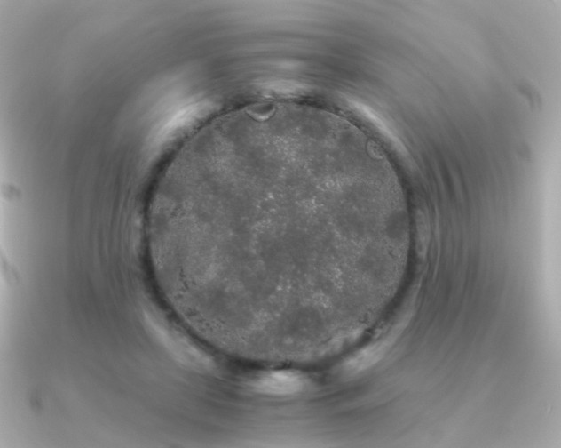 X0000091340451200708101446