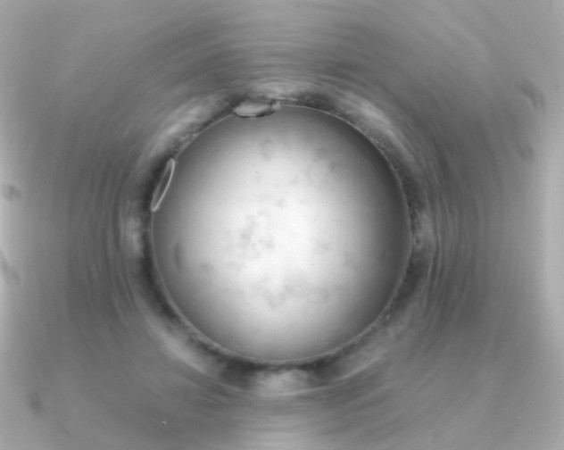X0000091340452200708101446