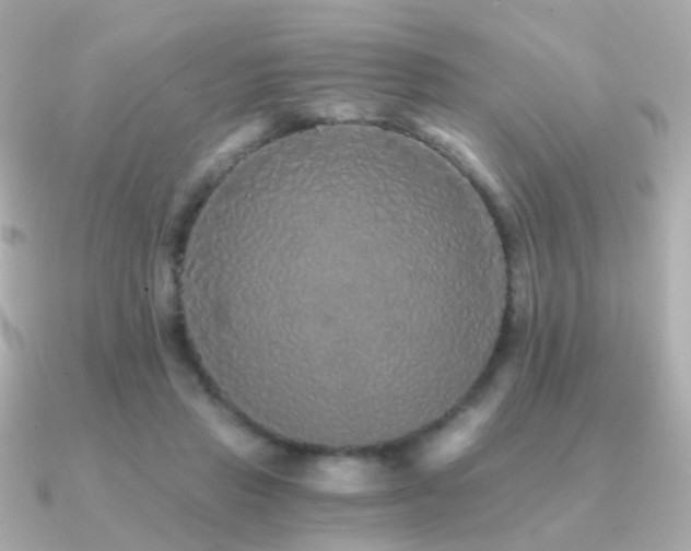 X0000091340453200708101446
