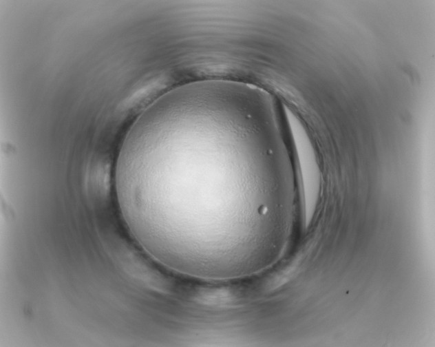 X0000091340454200708101446