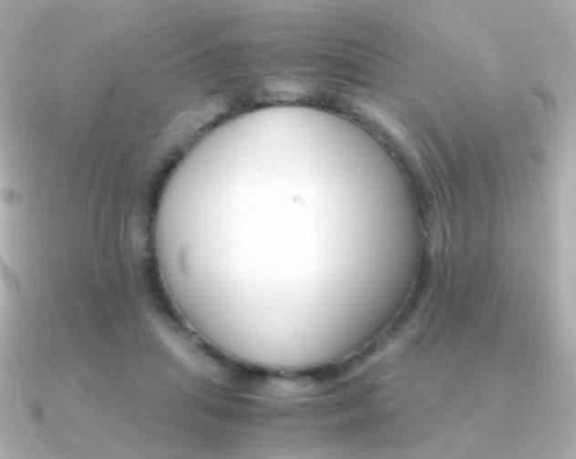 X0000091340455200708101446